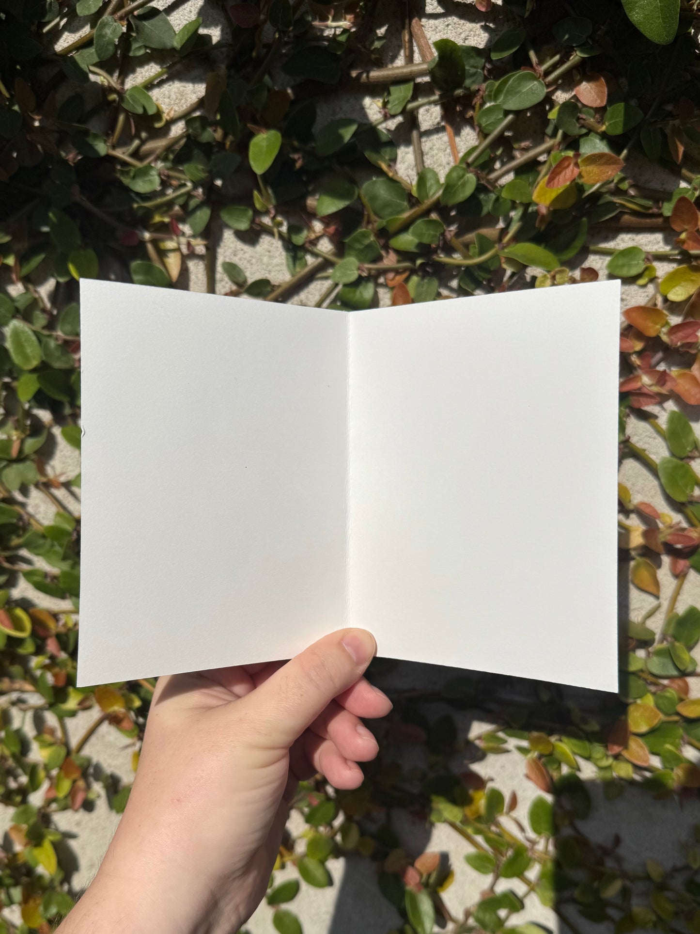 Holiday Card Bundle 2025