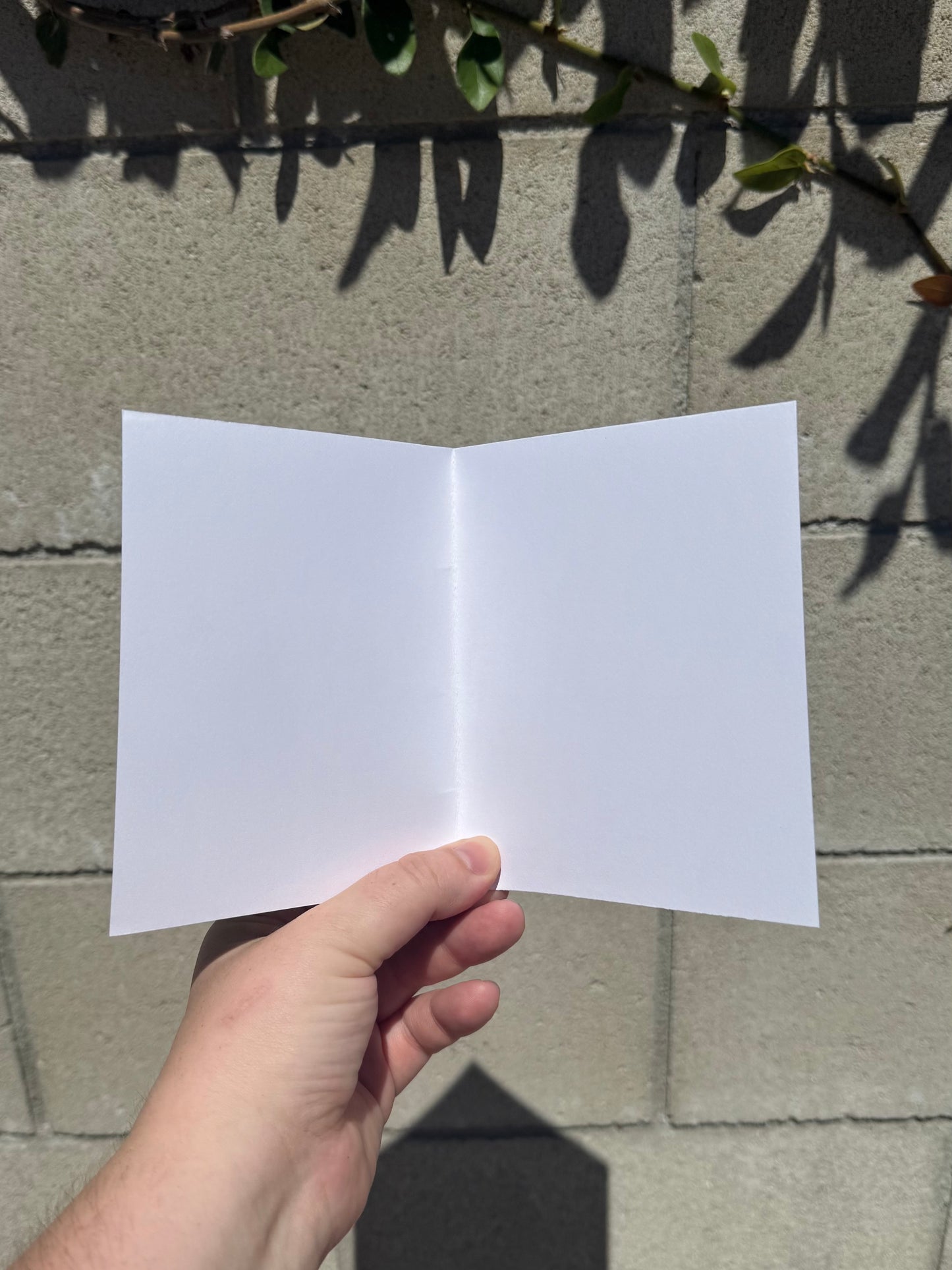 Sorry You Girl Bossed Too Close to the Sun