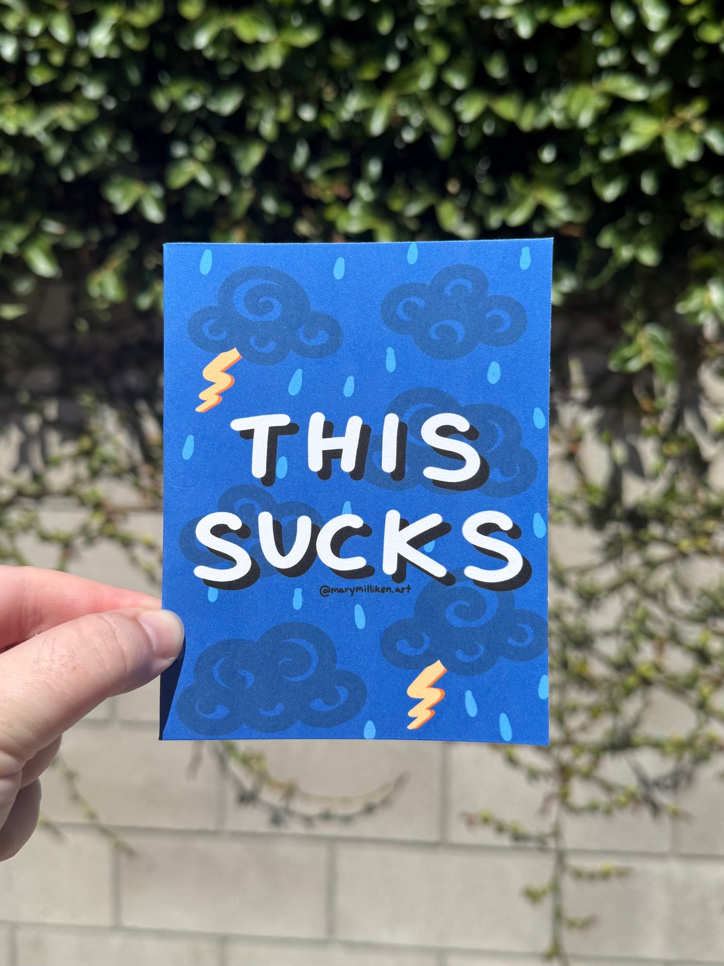 This Sucks